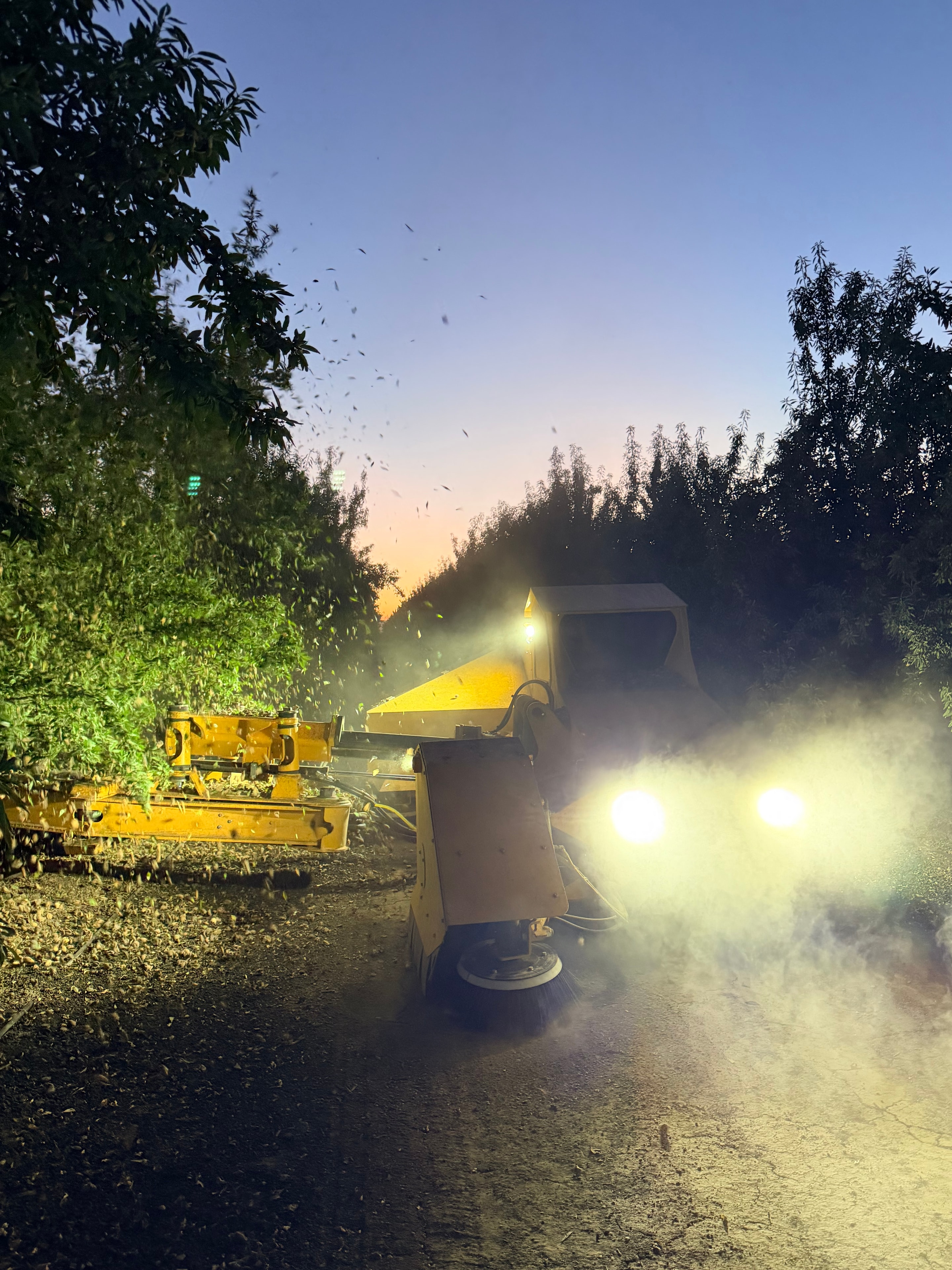 Shasta morning shaking operations